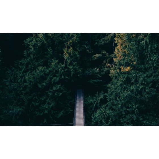 Sản phẩm chất lượng